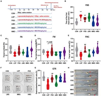 Moringa oleifera leaf alleviates functional constipation via regulating the gut microbiota and the enteric nervous system in mice